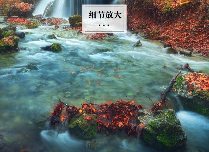 世界射箭锦标赛